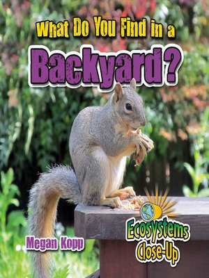 cover image of What Do You Find in a Backyard?